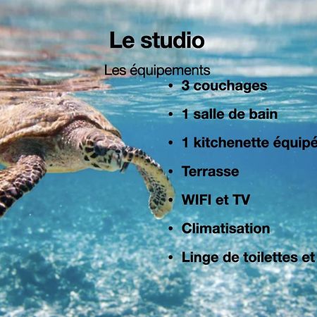 Studio Hippocampe P&V Sainte-Luce Zewnętrze zdjęcie