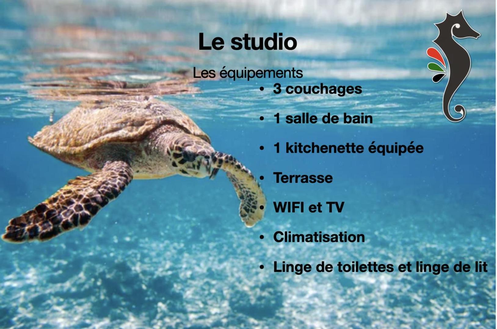 Studio Hippocampe P&V Sainte-Luce Zewnętrze zdjęcie